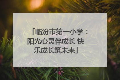 临汾市第一小学：阳光心灵伴成长 快乐成长筑未来