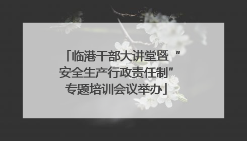 临港干部大讲堂暨“安全生产行政责任制”专题培训会议举办