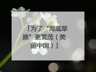 为了“海底草原”更繁茂（美丽中国）
