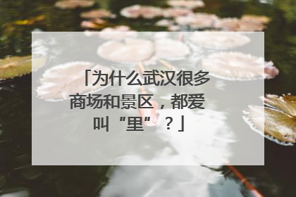 为什么武汉很多商场和景区，都爱叫“里”？