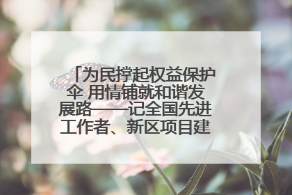 为民撑起权益保护伞 用情铺就和谐发展路——记全国先进工作者、新区项目建设中心干部卢小勇