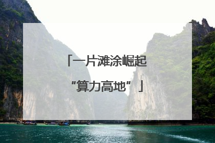 一片滩涂崛起“算力高地”
