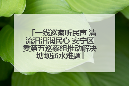 一线巡察听民声 清流汨汨润民心 安宁区委第五巡察组推动解决塘坝通水难题