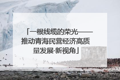 一根线缆的荣光——推动青海民营经济高质量发展·新视角