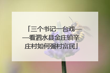 三个书记一台戏——看泗水县金庄镇辛庄村如何强村富民