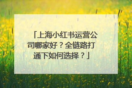 上海小红书运营公司哪家好？全链路打通下如何选择？