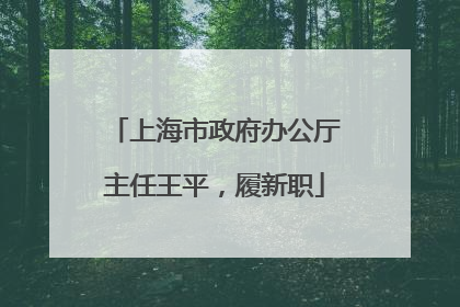 上海市政府办公厅主任王平，履新职