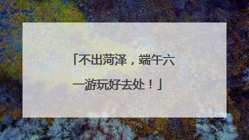 不出菏泽，端午六一游玩好去处！