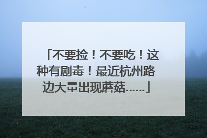 不要捡！不要吃！这种有剧毒！最近杭州路边大量出现蘑菇……