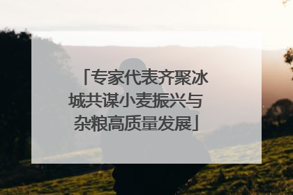 专家代表齐聚冰城共谋小麦振兴与杂粮高质量发展