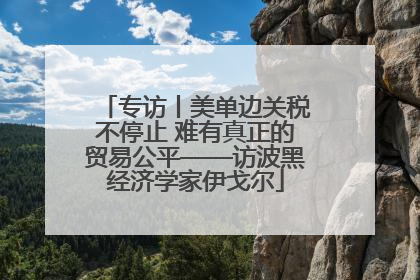 专访丨美单边关税不停止 难有真正的贸易公平——访波黑经济学家伊戈尔