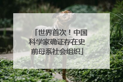 世界首次！中国科学家确证存在史前母系社会组织