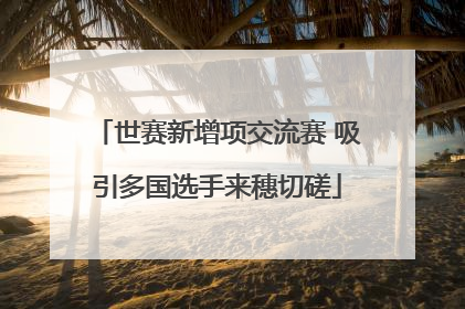 世赛新增项交流赛 吸引多国选手来穗切磋