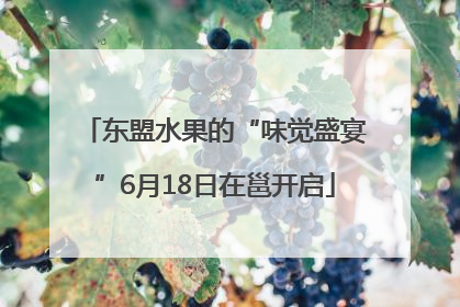东盟水果的“味觉盛宴”6月18日在邕开启