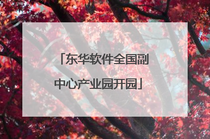 东华软件全国副中心产业园开园