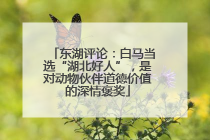 东湖评论：白马当选“湖北好人”，是对动物伙伴道德价值的深情褒奖