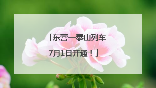 东营—泰山列车7月1日开通！