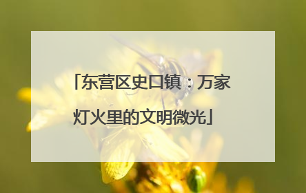 东营区史口镇：万家灯火里的文明微光