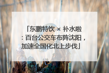 东鹏特饮 × 补水啦：百台公交车布阵沈阳，加速全国化北上步伐