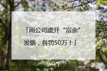 两公司虚开“富余”发票，各罚50万！