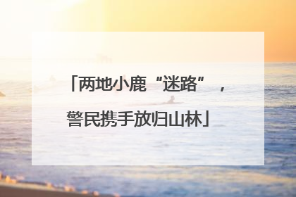 两地小鹿“迷路”，警民携手放归山林