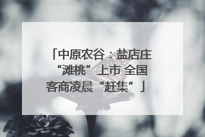 中原农谷：盐店庄“滩桃”上市 全国客商凌晨“赶集”