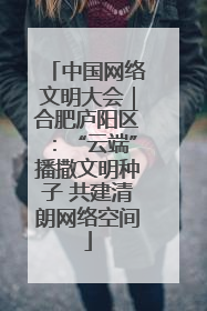 中国网络文明大会｜合肥庐阳区：“云端”播撒文明种子 共建清朗网络空间