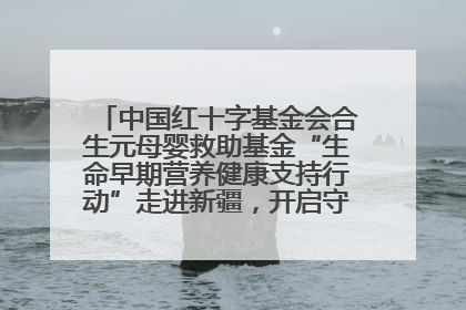 中国红十字基金会合生元母婴救助基金“生命早期营养健康支持行动”走进新疆，开启守护母婴新篇章！