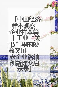 中国经济样本观察·企业样本篇丨工业“关节”里的硬核突围——老企业洛轴创新蝶变启示录