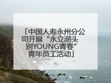 中国人寿永州分公司开展“永立潮头 别YOUNG青春”青年员工活动