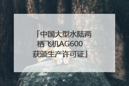 中国大型水陆两栖飞机AG600获颁生产许可证