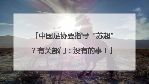 中国足协要指导“苏超”？有关部门：没有的事！