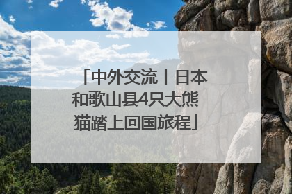 中外交流丨日本和歌山县4只大熊猫踏上回国旅程