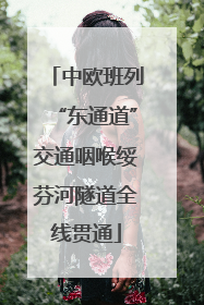 中欧班列“东通道”交通咽喉绥芬河隧道全线贯通