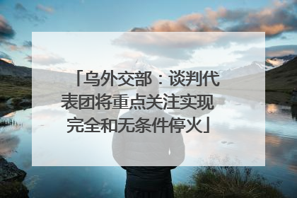 乌外交部：谈判代表团将重点关注实现完全和无条件停火