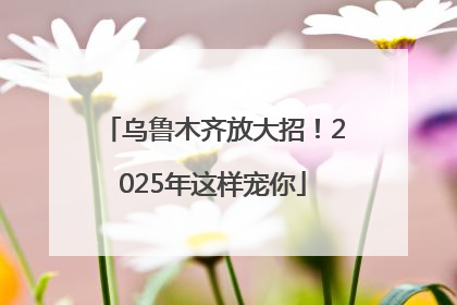 乌鲁木齐放大招！2025年这样宠你