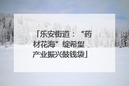 乐安街道：“药材花海”绽希望 产业振兴鼓钱袋