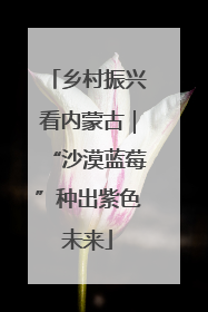 乡村振兴看内蒙古｜“沙漠蓝莓”种出紫色未来