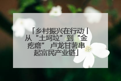 乡村振兴在行动丨从“土坷垃”到“金疙瘩” 卢龙甘薯串起富民产业链