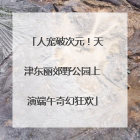 人宠破次元！天津东丽郊野公园上演端午奇幻狂欢