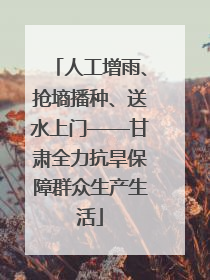 人工增雨、抢墒播种、送水上门——甘肃全力抗旱保障群众生产生活