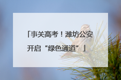 事关高考！潍坊公安开启“绿色通道”