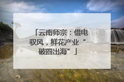 云南师宗：借电驭风，鲜花产业“破圈出海”
