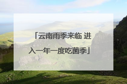 云南雨季来临 进入一年一度吃菌季