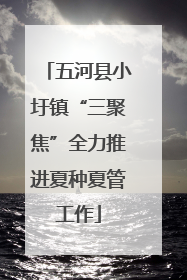五河县小圩镇“三聚焦”全力推进夏种夏管工作