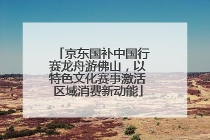 京东国补中国行赛龙舟游佛山，以特色文化赛事激活区域消费新动能
