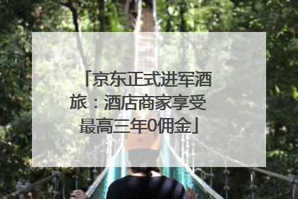 京东正式进军酒旅：酒店商家享受最高三年0佣金