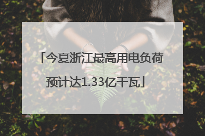今夏浙江最高用电负荷预计达1.33亿千瓦
