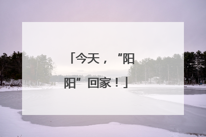 今天，“阳阳”回家！