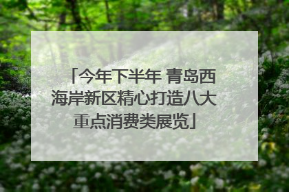 今年下半年 青岛西海岸新区精心打造八大重点消费类展览
